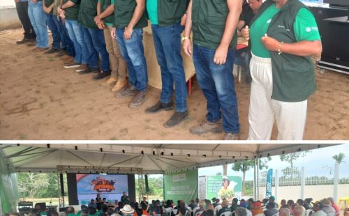 AGRO 11