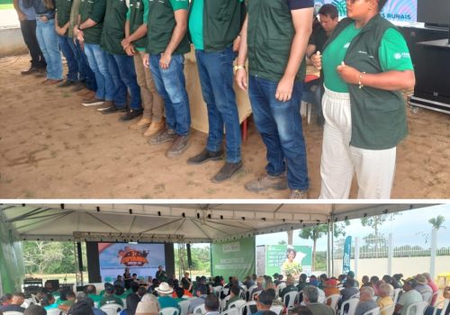 AGRO 11