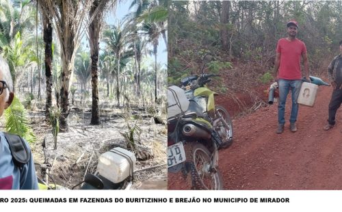 fogo 4