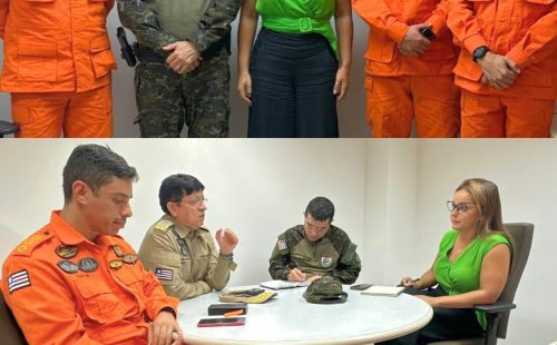 queimadas 15