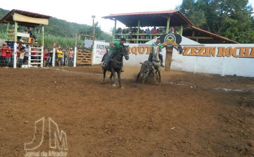 zezin rocha 2